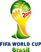 جام جهانی فوتبال ۲۰۱۴ Fifa world Cup