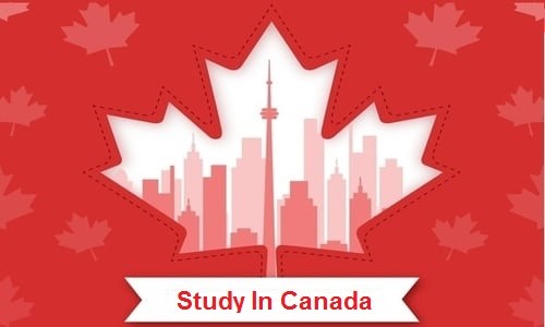 آیا دانشجویان در اکتبر ماه مجوز ورود به کانادا دارند